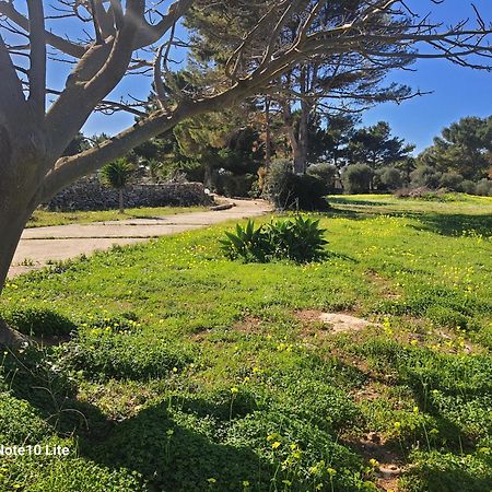 Sogni Nel Blu Favignana Villa Exteriör bild
