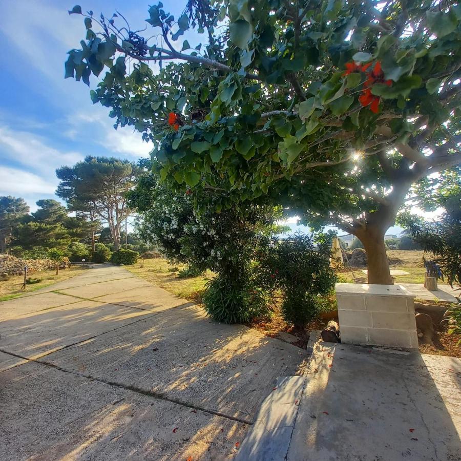 Sogni Nel Blu Favignana Villa Exteriör bild