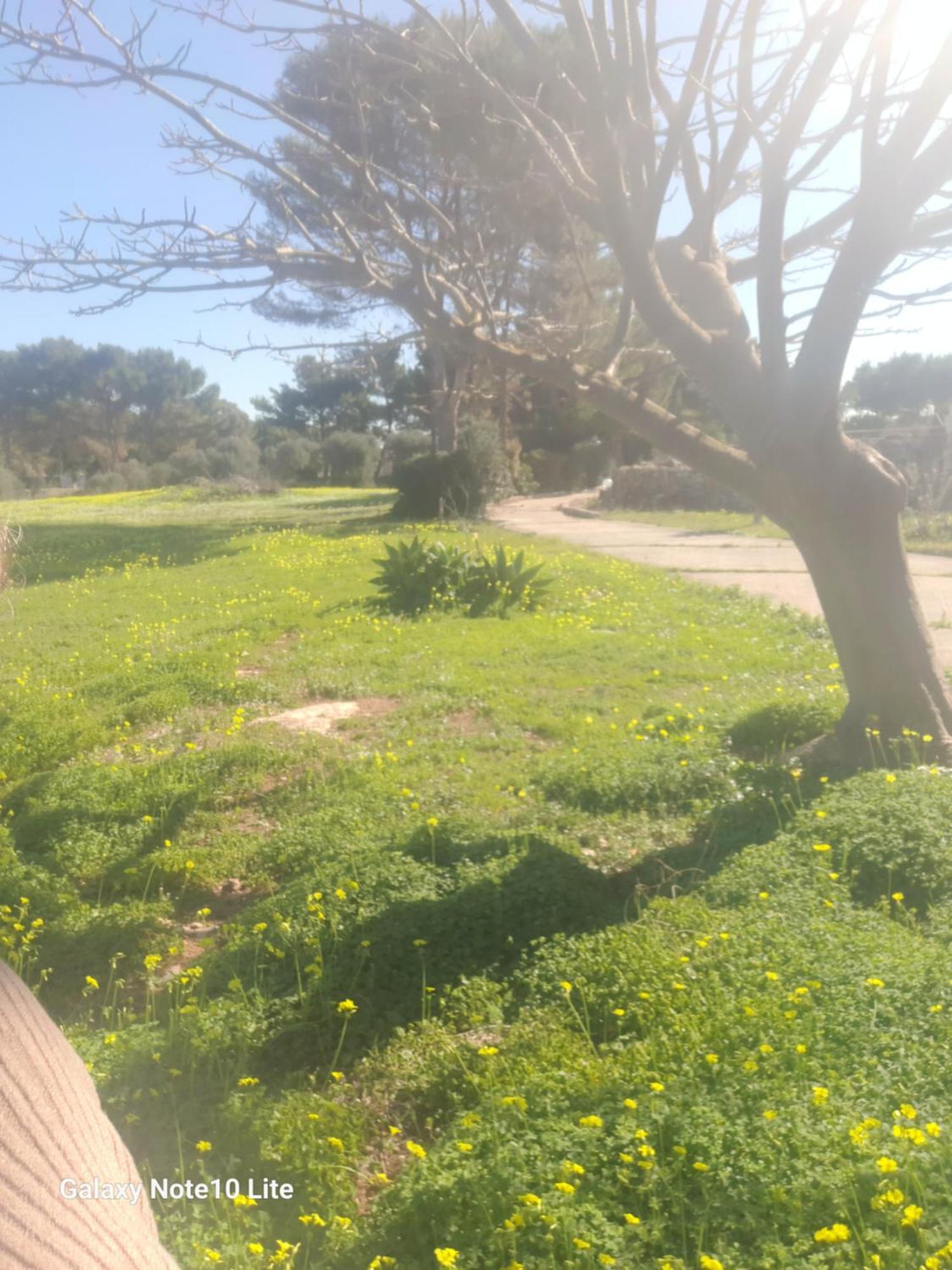 Sogni Nel Blu Favignana Villa Exteriör bild