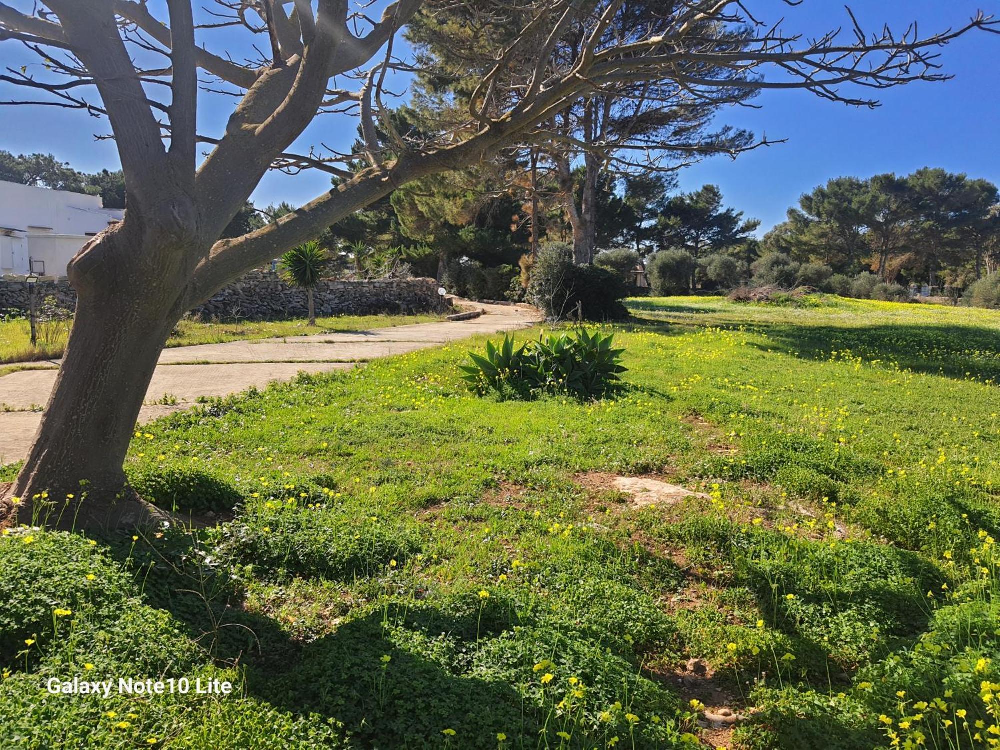 Sogni Nel Blu Favignana Villa Exteriör bild
