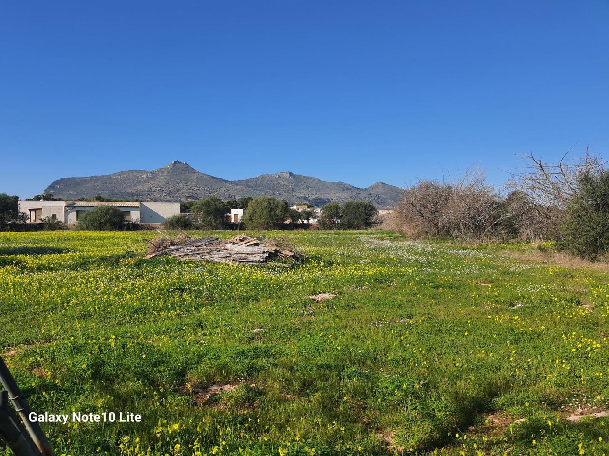 Sogni Nel Blu Favignana Villa Exteriör bild