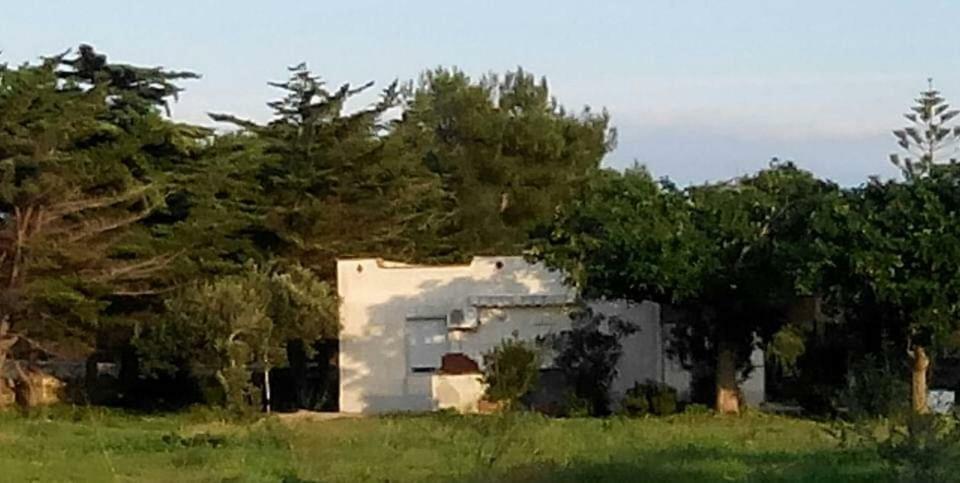Sogni Nel Blu Favignana Villa Exteriör bild